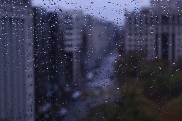 IMG_2285 original.jpeg